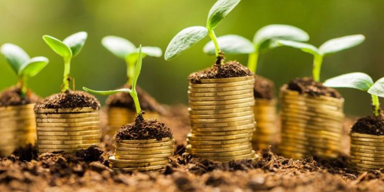 پشت پرده تبلیغات بهداشتی در صداوسیما: گردش مالی میلیاردی یا اعتبار محصول؟!