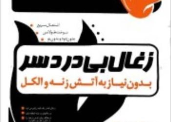 برند زغال بیدردسر
