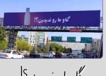 پگاه دنبال گاوش می گردد: قصه ای شهری که از تهران آغاز شد