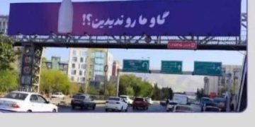 پگاه دنبال گاوش می گردد: قصه ای شهری که از تهران آغاز شد