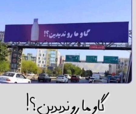 پگاه دنبال گاوش می گردد: قصه ای شهری که از تهران آغاز شد