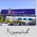 پگاه دنبال گاوش می گردد: قصه ای شهری که از تهران آغاز شد